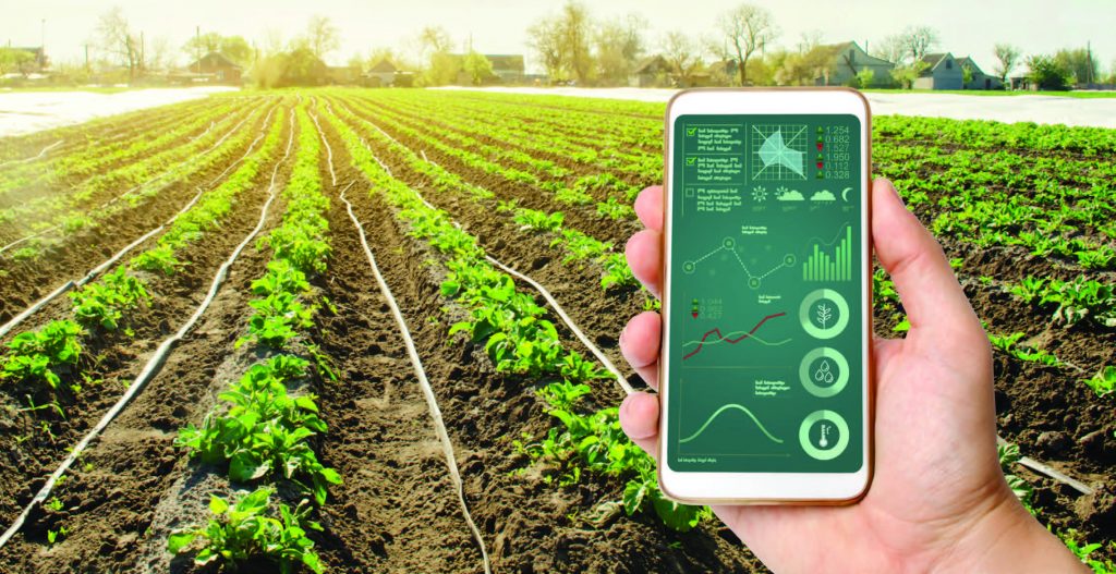  Đưa thông tin hộ sản xuất nông nghiệp lên sàn thương mại điện tử. 